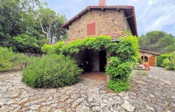 Suvereto, Tuscany 57028