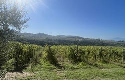 Montecchio, Umbria