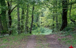 Montieri, Tuscany 58026