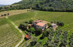 Controguerra, Abruzzo 64010