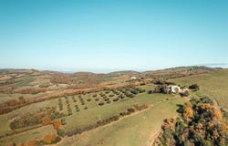 Grosseto, Tuscany 58100