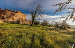 Casole d'Elsa, Tuscany 53031