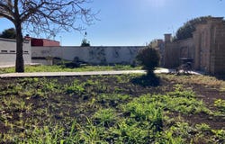 Nettuno, Lazio 00048