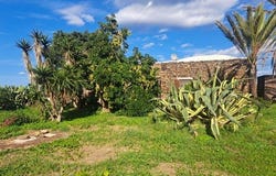 Pantelleria, Pantelleria, Pantelleria Island 91017