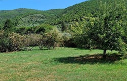 Capannori, Tuscany 55061