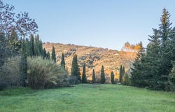 Buggiano, Tuscany 51011