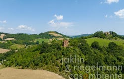 Urbino, Marche 61029