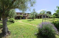 Gualdo, Marche 62020