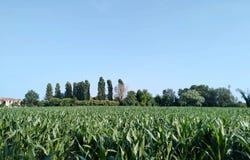 Veneto, Veneto 35010
