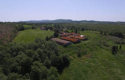 SR74, Albinia, Tuscany