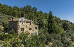 Montepulciano, Tuscany 53045