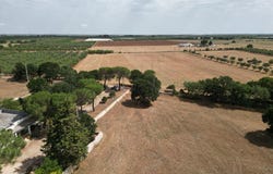 Acquaviva delle Fonti, Apulia 70021