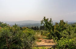Arezzo, Tuscany 52100
