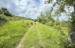Allerona, Umbria 05011