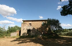 Torrita di Siena, Tuscany 53049