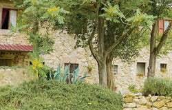 Riparbella, Tuscany 56046