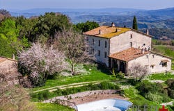 Scansano, Tuscany 58054