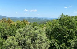 Pomarance, Tuscany 56045