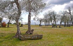 Castelnuovo Berardenga, Tuscany 53019