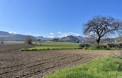 Falerone, Marche 63837