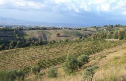 Grosseto, Tuscany 58100