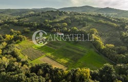 Grosseto, Tuscany 58100