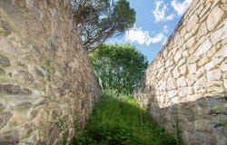 Reggello, Tuscany 50060