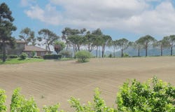 Pesaro, Marche 61122
