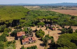 Castagneto Carducci, Toscana|Tuscany 57022
