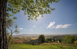 Volterra, Tuscany 56048