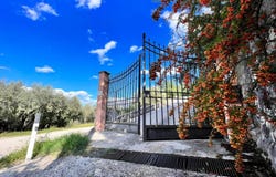 Arpino, Lazio 03033