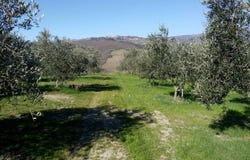 Abbadia San Salvatore, Tuscany 53021