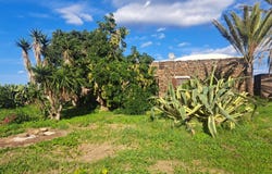 Pantelleria, Pantelleria Island, Sicily 91017