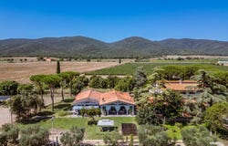 Grosseto, Grosseto, Tuscany 58100
