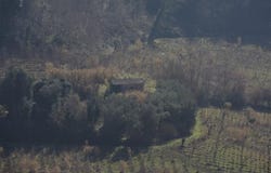 Usigliano, Tuscany 56035