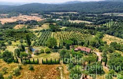 Sassetta, Tuscany 57020