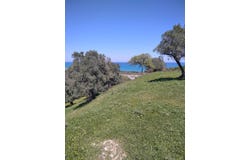 Cirò, Calabria 88813