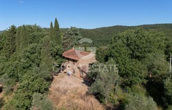 Torrita di Siena, Tuscany 53049