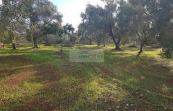 Carovigno, Apulia 72012
