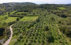 Via Monti Canu, Palau, Sardegna|Sardinia 07020
