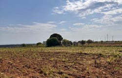 Carovigno, Apulia 72012
