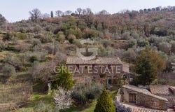 Montalcino, Siena