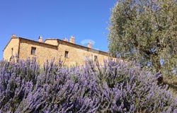 Trequanda, Siena