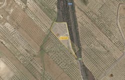 Contrada Piana Grande, Ribera, Sicily 92016