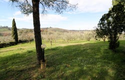 Montespertoli, Tuscany 50025