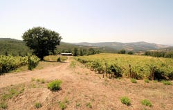 Scansano, Tuscany 58054