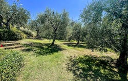 Marti, Marti, Tuscany 56020