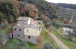 Castelnuovo Berardenga, Tuscany 53019