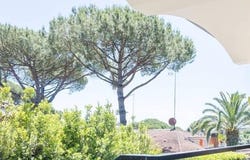 Rome, Lazio 00164