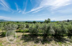 Cortona, Tuscany 52044